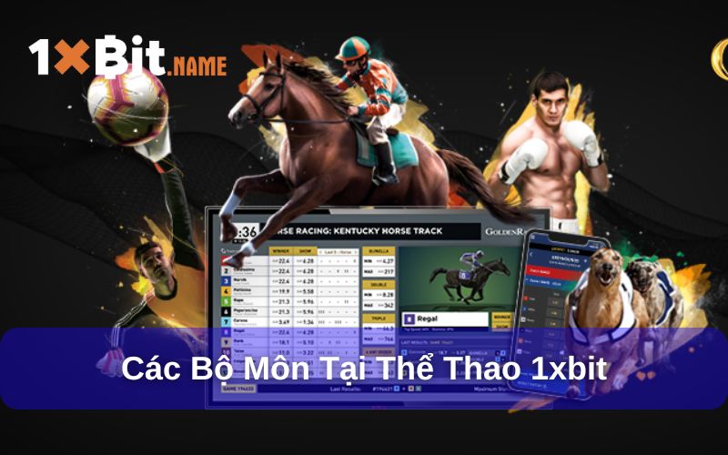 Các bộ môn thể thao tại 1xbit