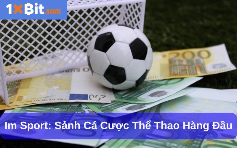 Im Sport- sảnh cược thể thao uy tín hàng đầu