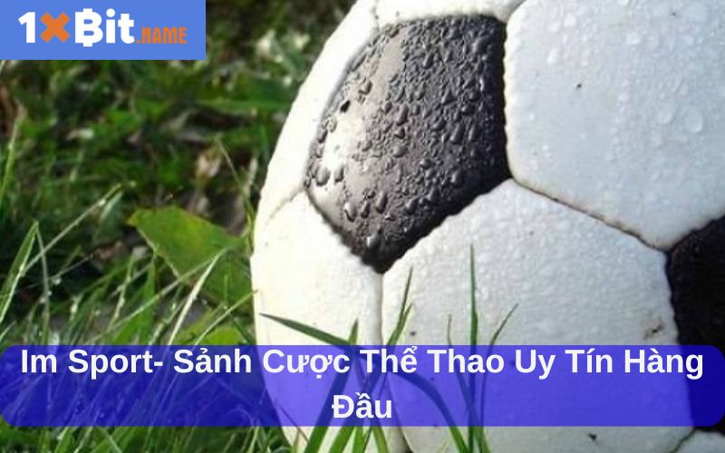 Im Sport Sảnh cược thể thao uy tín hàng đầu